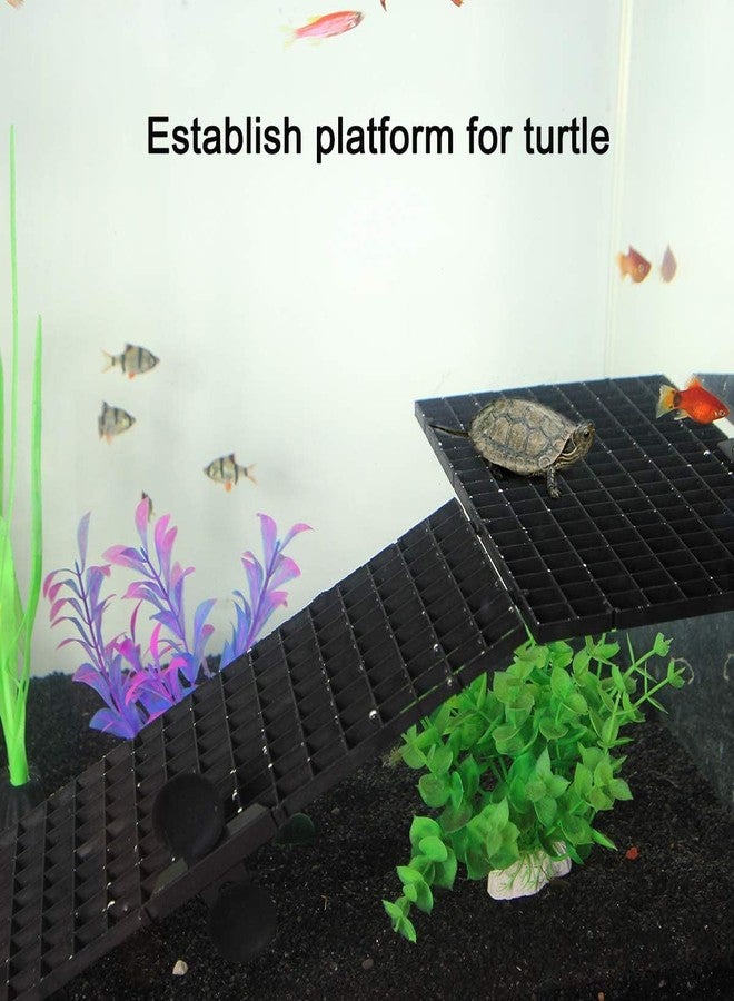 VAYINATO® Black (2 Pcs Egg Crate & 2 Pcs Divider Clip) Divider Grid Divider Tray Egg Crate Aquarium Fish Tank Filter Bottom Isolation Board (Size : 30 * 15cm | by Petzlifeworld - Image 3